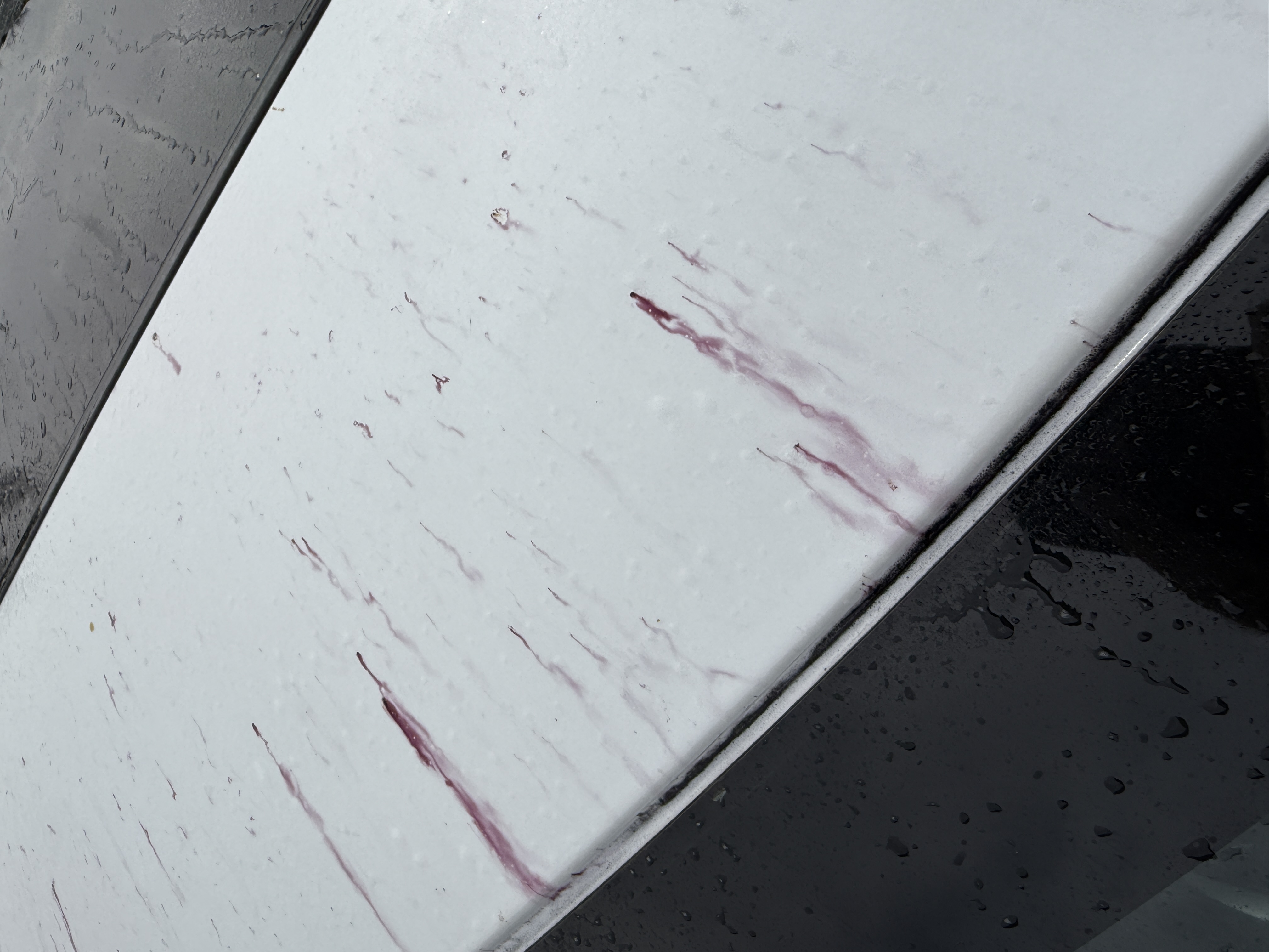Dekontaminácia laku: Ako zbaviť auto náletovej hrdze a asfaltu ako profesionál